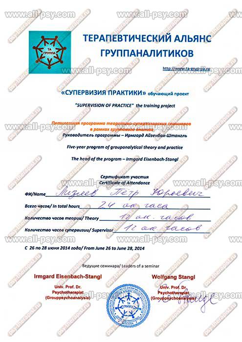 Реферат по теме Группаналитическая терапия психозов Реферат по теме Группаналитическая терапия психозов
